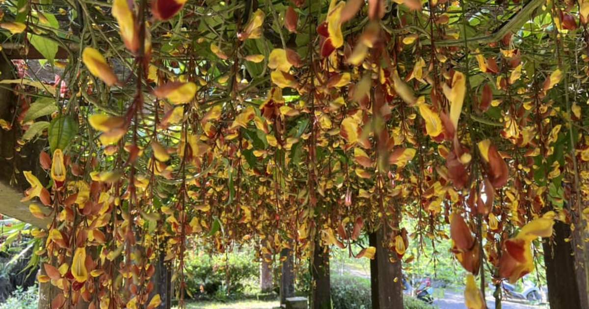 Beva Oksana porno filmini onlayn tomosha qiling Sadovayada senzurasiz porno seans